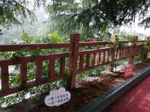广元现“美丽乡村小学” 办出乡村小学的尊严2
