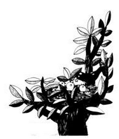 人教版一年级下册语文课堂练习：两只鸟蛋3